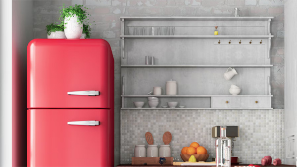 There are Vastu rules for the refrigerator too you shouldn t place any of these things on it please check There are Vastu rules for the refrigerator too you shouldn t place any of these things on it please check