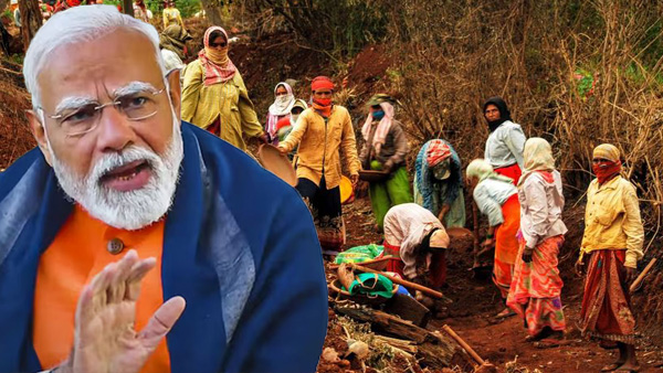 An additional income for the villagers the central government has said festive news An additional income for the villagers the central government has said festive news