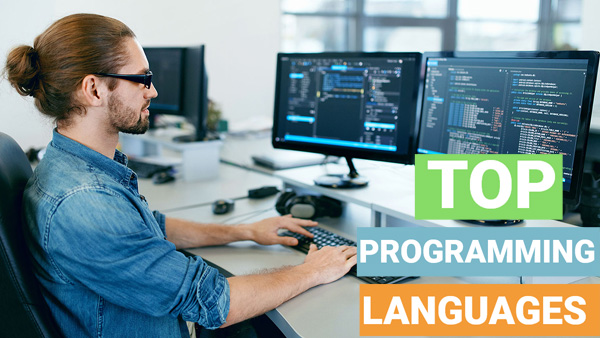 Aiming for an IT career in 2026 Master these high-demand programming languages
