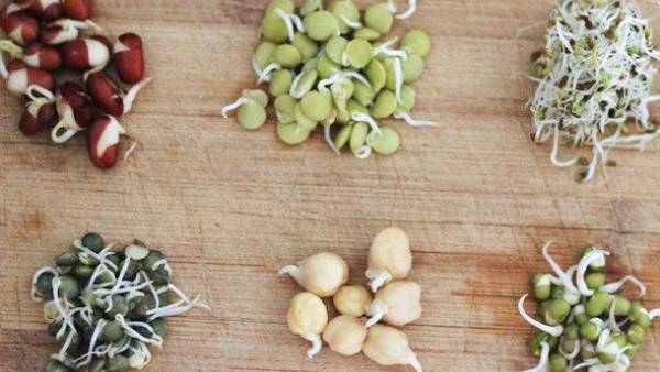 sprouts-regular-eating-can-lower-blood-glucose-levels-in-people-with-diabetes-as-latest-study-report sprouts-regular-eating-can-lower-blood-glucose-levels-in-people-with-diabetes-as-latest-study-report