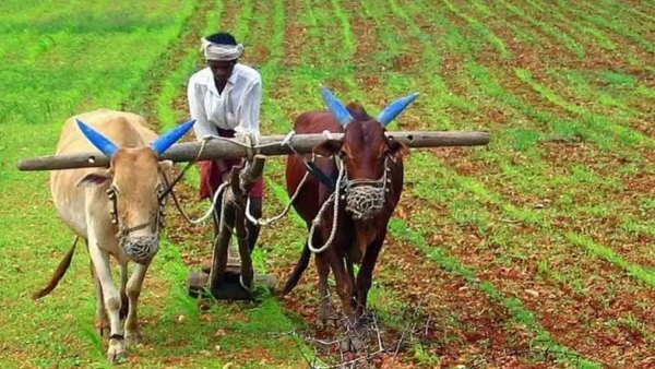 ఛత్తీస్‌గఢ్ రైతులు రూ. 10 000 కోట్ల వరి ధరకు పెద్ద బూస్ట్ క్రుషక్ ఉన్నతి యోజన కింద సబ్సిడీ