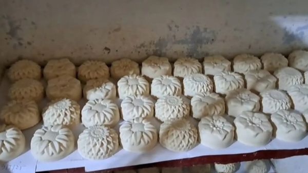 From Goat Milk to Natural Beauty How Rural Women in Munger Are Building a Profitable Soap Business Empire