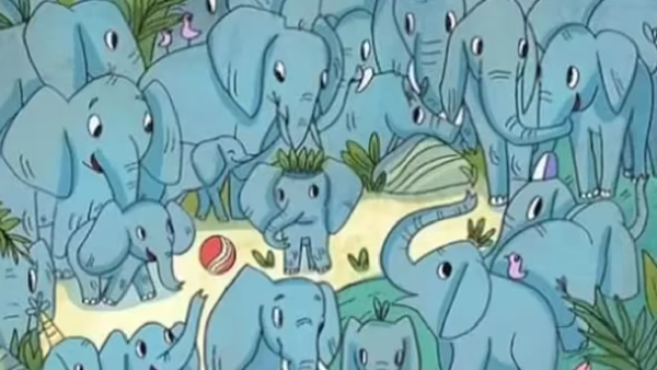 optical-illusion-of-finding-little-rhino-in-group-of-elephants-and-test-to-eyes-sharpness optical-illusion-of-finding-little-rhino-in-group-of-elephants-and-test-to-eyes-sharpness