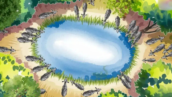 illusion-of-finding-hunting-animals-in-this-photo-and-test-to-eyes-sharpness-also-for-memory-power illusion-of-finding-hunting-animals-in-this-photo-and-test-to-eyes-sharpness-also-for-memory-power