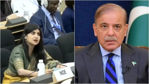 UNHRC వద్ద పాకిస్తాన్ యొక్క J amp amp K డ్రీమ్స్‌ను భారతదేశం నిందించింది, అభివృద్ధి లేదు అనుపమా సింగ్‌ను కలలు కనే హక్కు లేదు