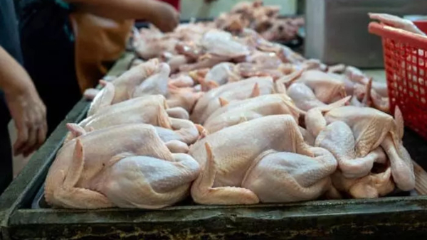 Bad news for non-veg lovers in Visakhapatnam on Sunday due to maha shivratri celebrations on february 15th Bad news for non-veg lovers in Visakhapatnam on Sunday due to maha shivratri celebrations on february 15th