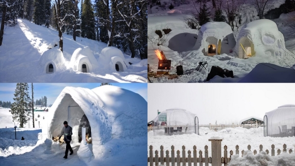 హిమాచల్‌లోని సేతన్ భారతదేశంలోని మొదటి ఇగ్లూ గ్రామం, ఇక్కడ పర్యాటకులు మాయా మంచు బస కోసం క్యూలో ఉన్నారు