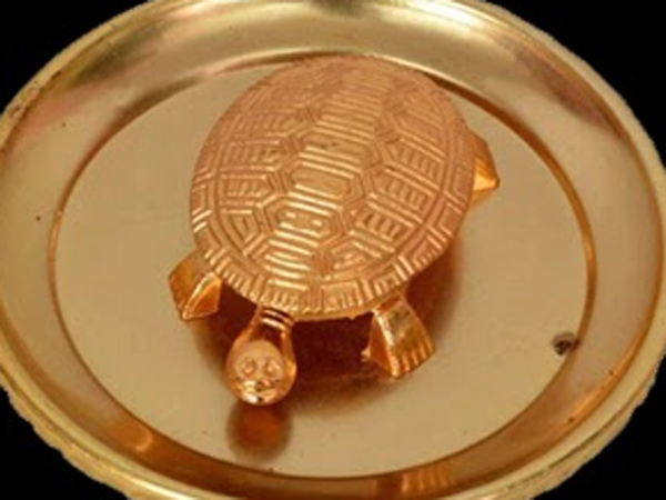 Vastu Shastra is it permissible to have a tortoise figurine in the house or not Find out
