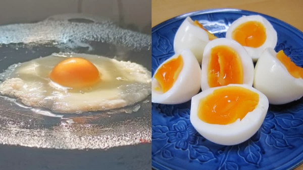 రాపిడ్ బర్డ్ ఫ్లూ పెరుగుదల మధ్య సగం ఉడకబెట్టిన గుడ్లు amp అండర్ వండిన చికెన్ను దాటవేయమని TN ఆరోగ్య మంత్రి హెచ్చరించారు రాపిడ్ బర్డ్ ఫ్లూ పెరుగుదల మధ్య సగం ఉడకబెట్టిన గుడ్లు amp అండర్ వండిన చికెన్ను దాటవేయమని TN ఆరోగ్య మంత్రి హెచ్చరించారు