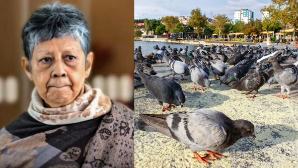 singapore-woman-fined-s-3-200-for-feeding-wild-birds singapore-woman-fined-s-3-200-for-feeding-wild-birds