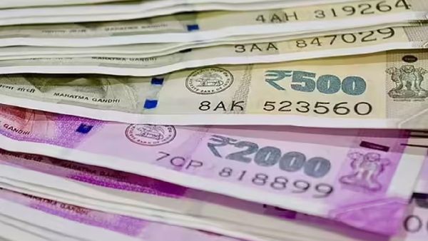 central-goverment-scheme-that-national-livestock-mission-provides-up-to-50-lakh-for-donkey-rearing