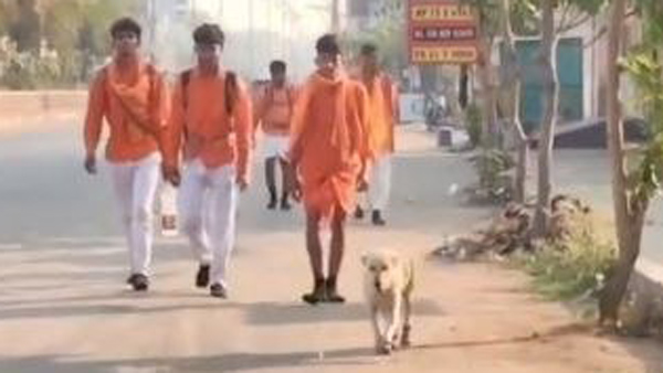 dog emotional story walked 130 km alongside Hanuman devoteesr to Kondagattu for 5rupees biscuits dog emotional story walked 130 km alongside Hanuman devoteesr to Kondagattu for 5rupees biscuits