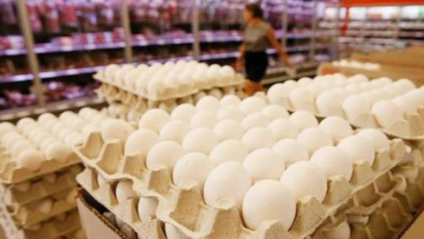 Egg Prices Crash in India Due to Iran-US War Tension Gulf Exports Halted Poultry Crisis Egg Prices Crash in India Due to Iran-US War Tension Gulf Exports Halted Poultry Crisis