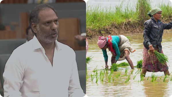 Relief for Farmers AP Government Approves 46 113 Pending Agricultural Power Connections Relief for Farmers AP Government Approves 46 113 Pending Agricultural Power Connections