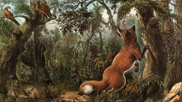 illusion-of-finding-16-animals-in-this-photo-and-test-to-eyes-sharpness-also-for-memory-power-improv illusion-of-finding-16-animals-in-this-photo-and-test-to-eyes-sharpness-also-for-memory-power-improv