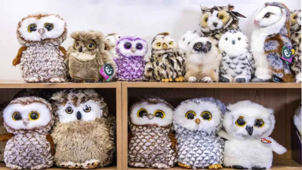 illusion-of-finding-owl-from-this-dolls-photo-and-test-to-eyes-sharpness-also-for-memory-power-impro illusion-of-finding-owl-from-this-dolls-photo-and-test-to-eyes-sharpness-also-for-memory-power-impro