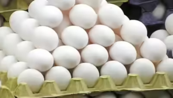 iran israel war effect on eggs egg prices have dropped sharply due to the exports have stalled from ap iran israel war effect on eggs egg prices have dropped sharply due to the exports have stalled from ap