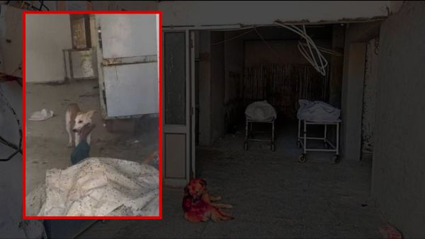 జడ్చర్ల ప్రభుత్వాసుపత్రిలో జరిగిన దారుణ ఘటన మార్చురీలో మృత దేహంపై విందు చేసిన వీధికుక్క