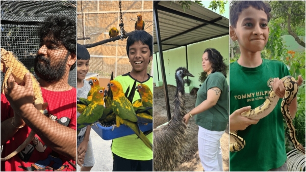 KaccheRaaste Ecological Park in Annaram hyderabad Wows Hyderabad City Dwellers with Green Serenity