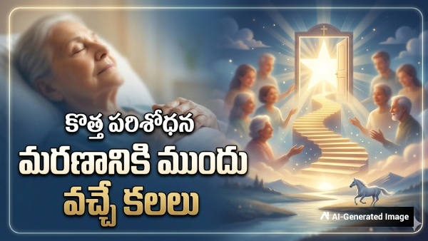 What Do We Dreams Before Death New Study Reveals Common Visions and End-of-Life Dreams