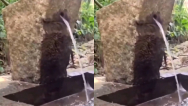stone-water-tap-in-hampi-rama-temple-video-goes-viral-on-social-media-and-netizens-comments stone-water-tap-in-hampi-rama-temple-video-goes-viral-on-social-media-and-netizens-comments