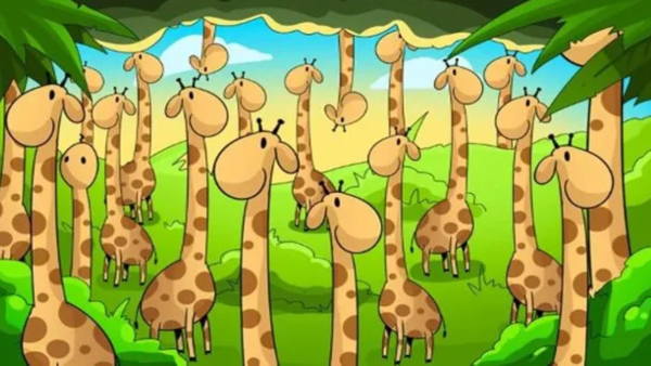 ఈ అడవిలో పామును కనిపెట్టే భ్రమ-ఫోటో-కళ్లకు-తీక్షణత-కూడా-మెమరీ-పవర్-ఇంప్ర్ కోసం-పరీక్షించండి ఈ అడవిలో పామును కనిపెట్టే భ్రమ-ఫోటో-కళ్లకు-తీక్షణత-కూడా-మెమరీ-పవర్-ఇంప్ర్ కోసం-పరీక్షించండి