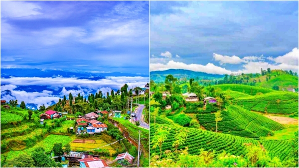 IRCTC Offers Affordable Hyderabad to Darjeeling Summer Tour Package Amid Scorching Heat best tour