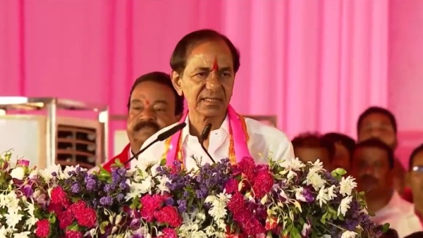 జీవన్‌రెడ్డిని ఉత్తర తెలంగాణ జిల్లాల ప్రధాన కార్యదర్శిగా కేసీఆర్‌ నియమించారు