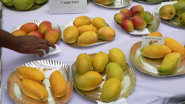 Health Alert FSSAI Bans Masala Ripening Over Arsenic Traces Orders Mass Inspections of Mandis