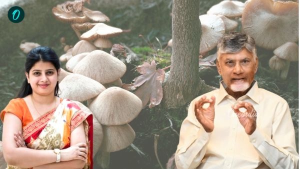 AP Mushroom Mission 2026-31 Government Allocates Rs 12960 Crore to Empower Women and Boost Crop Production AP Mushroom Mission 2026-31 Government Allocates Rs 12960 Crore to Empower Women and Boost Crop Production