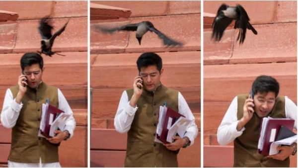 BJP s Viral 2023 Dig At Liar Raghav Chadha Comes Back To Haunt Them On His Joining Day BJP s Viral 2023 Dig At Liar Raghav Chadha Comes Back To Haunt Them On His Joining Day