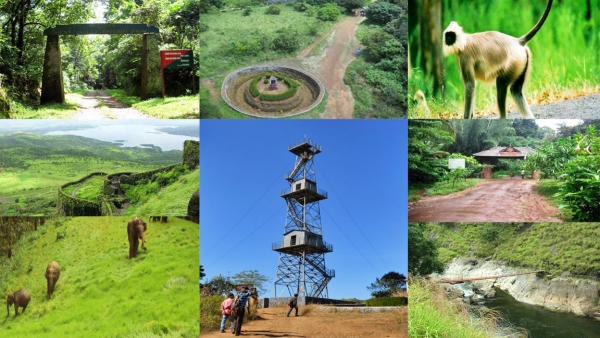 SilentValley Buxa Tiger Reserve Dandeli-Anshi Incredible Forest Tours in India best forests India SilentValley Buxa Tiger Reserve Dandeli-Anshi Incredible Forest Tours in India best forests India