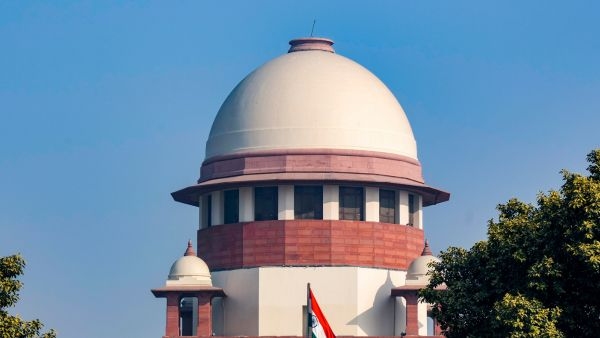 Arrest Those Who Don t Vote Supreme Court Rejects Plea for Mandatory Voting with Strict Penalties