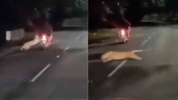 TTD Deploys Drone Pod and CCTV Network to Safeguard Pilgrims on Tirumala Footpaths Heat Signature TTD Deploys Drone Pod and CCTV Network to Safeguard Pilgrims on Tirumala Footpaths Heat Signature