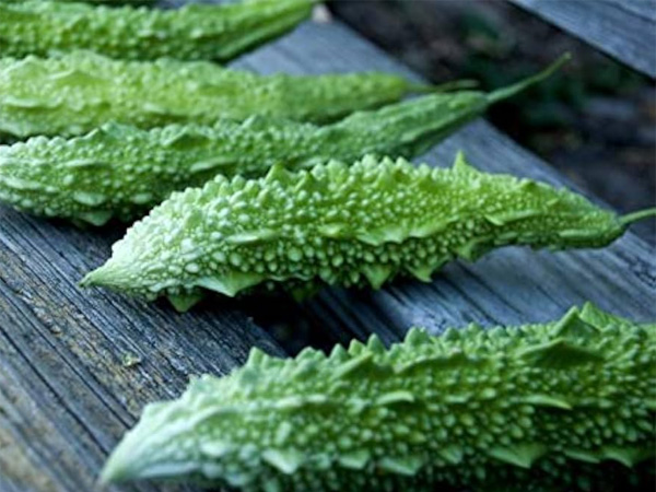 Vastu Tips According to Principles you should not grow this particular vegetable plant in your home please take note