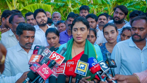 YS Sharmila Slams Brother Jagan s Politics on Father s Padayatra Anniversary