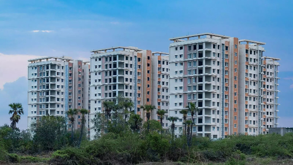 amaravati news residential buildings being constructed for MLAs and MLCs are set to be ready soon amaravati news residential buildings being constructed for MLAs and MLCs are set to be ready soon