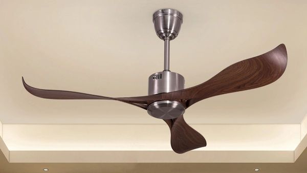 shocking-reasons-behind-why-ceiling-fan-have-three-wings-only-in-india-and-interesting-details