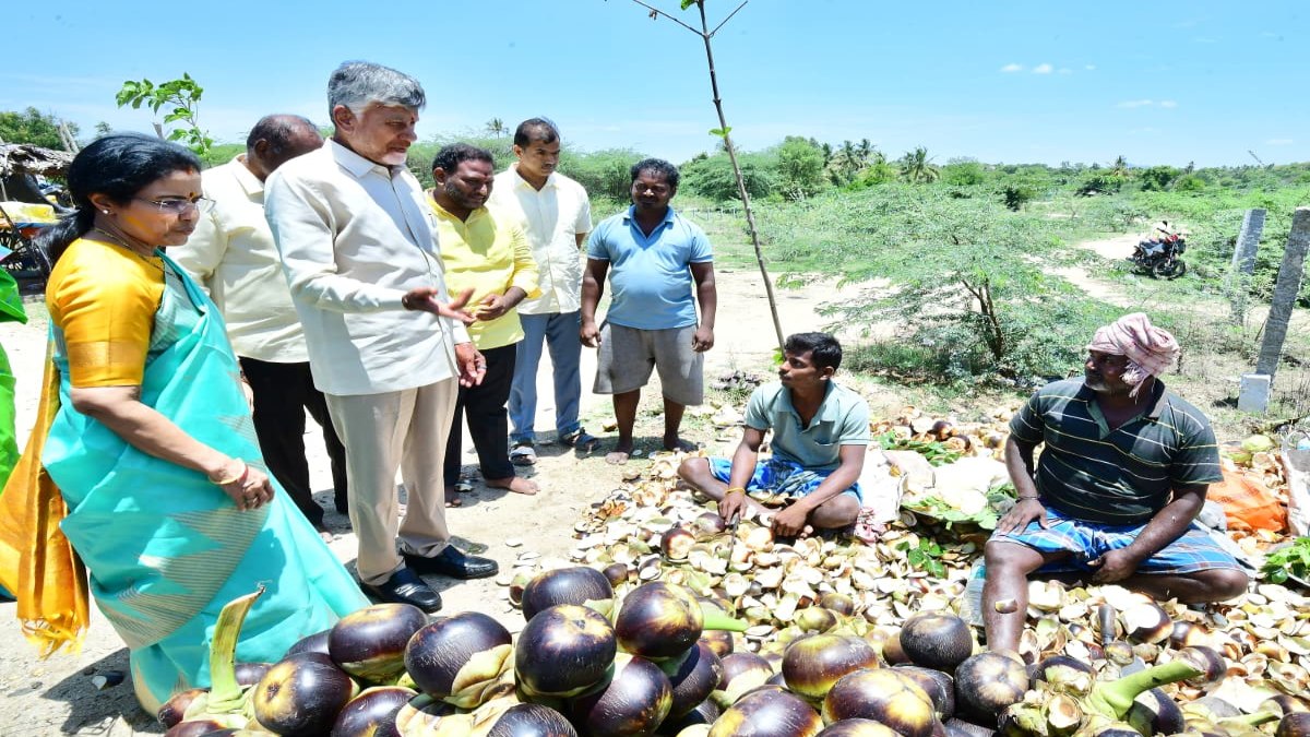 రోడ్డు పక్కన ఆగి తాటి ముంజలు తిన్న సీఎం చంద్రబాబు.. షాకింగ్ పోస్ట్ !!