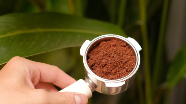 Eco Friendly Hacks How To Use Leftover Coffee Grounds As Natural Insect Repellent In Your Garden