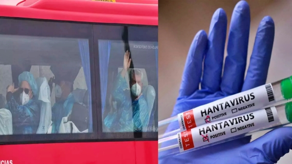 Hantavirus Outbreak on Cruise Ship Two Additional Cases Confirmed Total Count Rises Further Hanta Hantavirus Outbreak on Cruise Ship Two Additional Cases Confirmed Total Count Rises Further Hanta