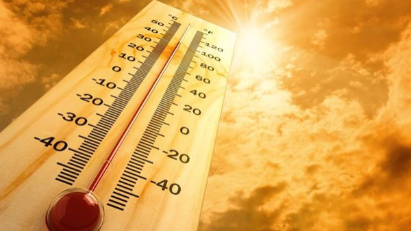 Heat waves Grips Andhra Pradesh Temperature touches 46 Celsius in the State as Rohini Karthe enters Heat waves Grips Andhra Pradesh Temperature touches 46 Celsius in the State as Rohini Karthe enters