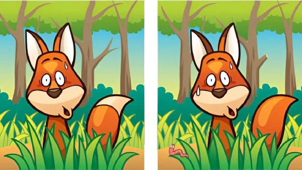 illusion-of-finding-5-differences-in-this-photo-and-test-to-eyes-sharpness-also-for-memory-power-imp