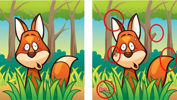 illusion-of-finding-5-differences-in-this-photo-and-test-to-eyes-sharpness-also-for-memory-power-imp