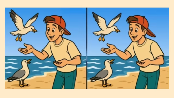 illusion-of-finding-3-differences-in-this-photo-and-test-to-eyes-sharpness-also-for-memory-power-imp