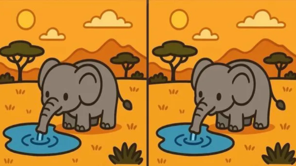 illusion-of-finding-3-differences-in-this-image-and-test-to-eyes-sharpness-also-for-memory-power-imp