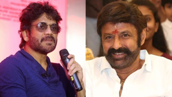 nandamuri-balakrishna-and-king-nagarjuna-going-to-release-their-movies-at-sankranthi-after-11-years nandamuri-balakrishna-and-king-nagarjuna-going-to-release-their-movies-at-sankranthi-after-11-years