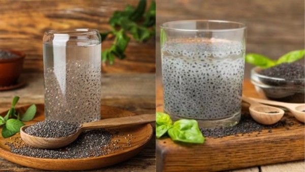 sabja-vs-chia-chia-seeds-are-more-nutrient-rich-while-sabja-seeds-are-better-for-cooling-and-diges sabja-vs-chia-chia-seeds-are-more-nutrient-rich-while-sabja-seeds-are-better-for-cooling-and-diges