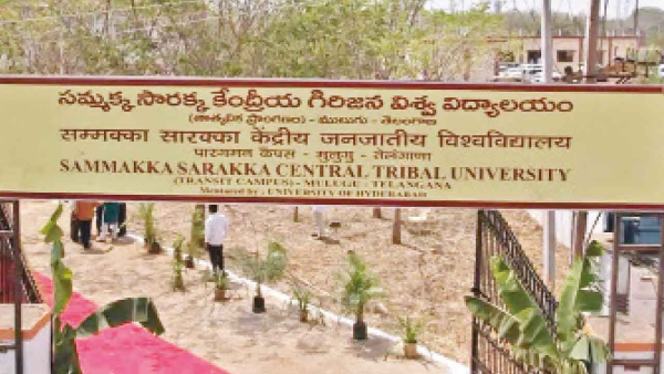 In Sammakka Sarakka Central Tribal University works Ancient temple stones and several snakes were found In Sammakka Sarakka Central Tribal University works Ancient temple stones and several snakes were found