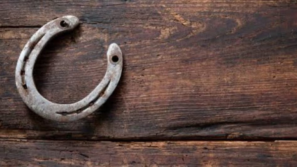 Shield Your Home with a Horseshoe Vastu and Astrology to Attract Wealth and Positive Energy Correctly Shield Your Home with a Horseshoe Vastu and Astrology to Attract Wealth and Positive Energy Correctly